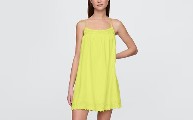 GAP Cotton Gauze Embroidered Swing Dress