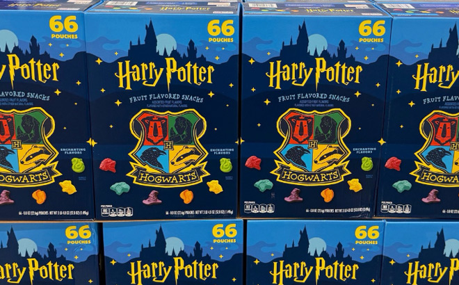 Harry Potter Fruit Flavored Snacks