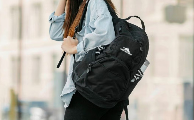 High Sierra Swoop SG Backpack