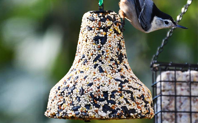 Kaytee Wild Bird Nut Fruit Seed Treat Bell 1