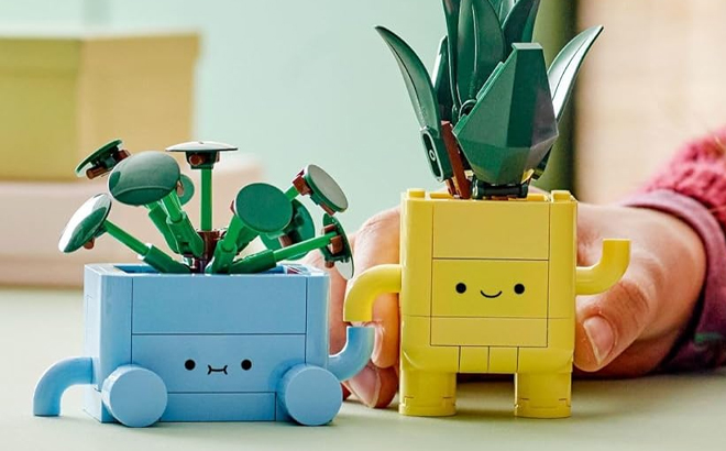 LEGO Botanicals Happy Plants Building Toy