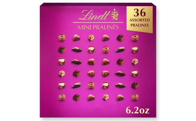Lindt 36 Count Mini Assorted Chocolate Pralines Lindt 36 Count Mini Assorted Chocolate Pralines
