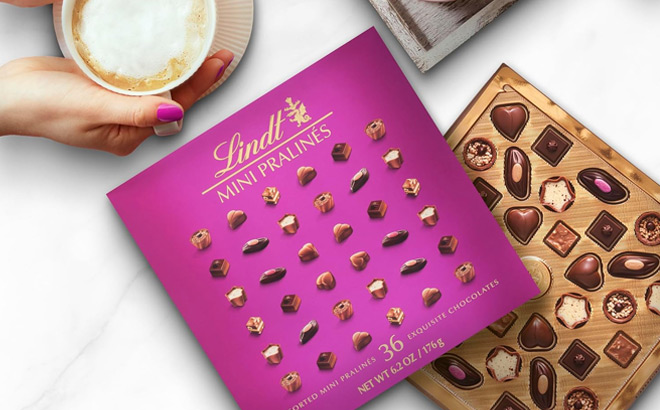 Lindt 36 Count Mini Pralines