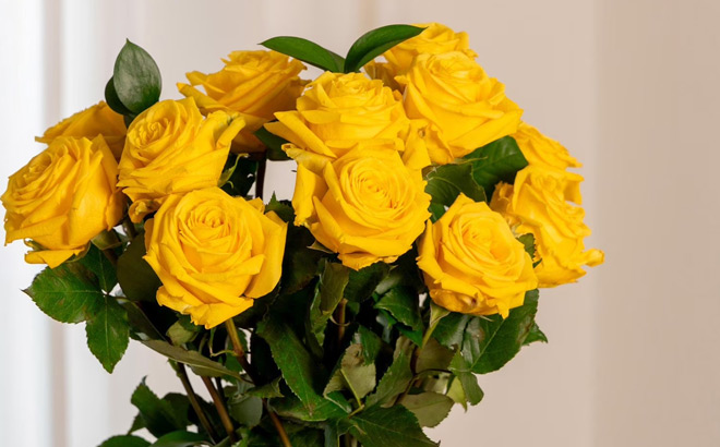 Members Mark Premium Dozen Roses 1