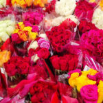 Members Mark Premium Dozen Roses