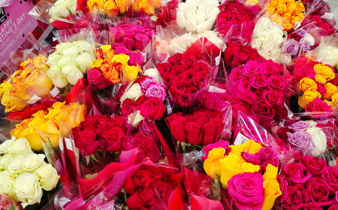 Members Mark Premium Dozen Roses