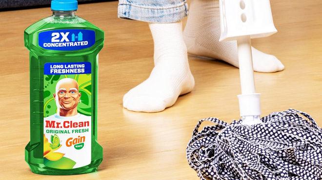 Mr Clean All Purpose Cleaner Original Flesh Mr Clean All Purpose Cleaner Original Flesh