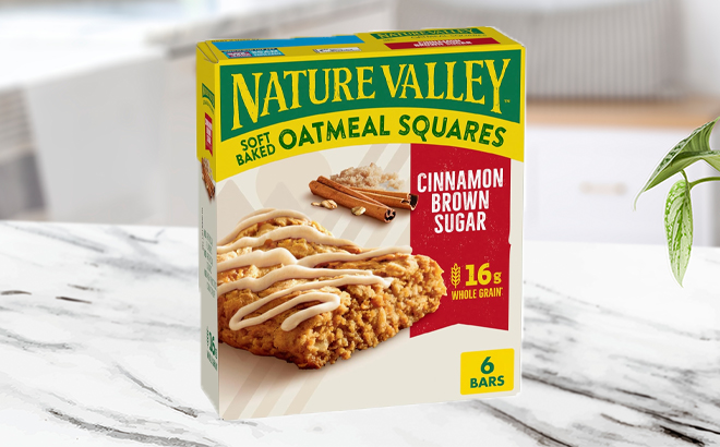 Nature Valley Soft Baked Oatmeal Squares Cinnamon Brown Sugar 6 Count