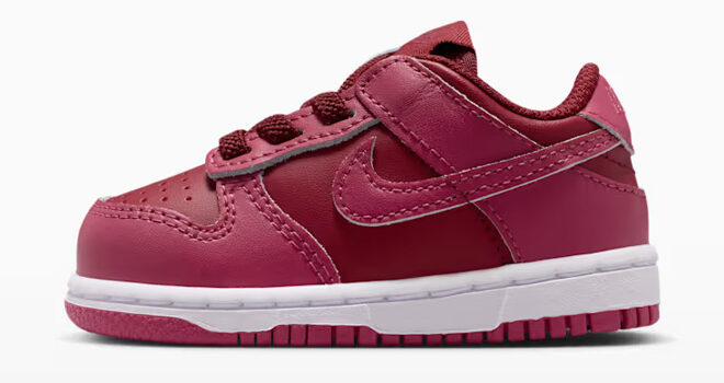 Nike Dunk Low Baby Toddler Shoe Nike Dunk Low Baby Toddler Shoe
