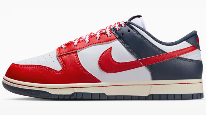 Nike Dunk Low Retro Mens Shoes