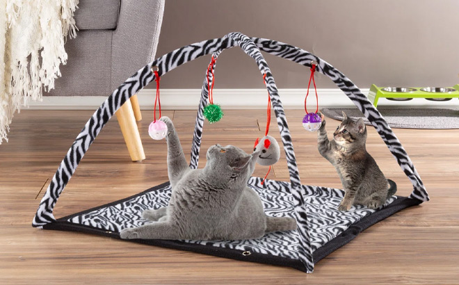 Petmaker Foldable Cat Activity Center