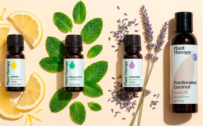 Plant Therapy Quality Time DIY Bundle