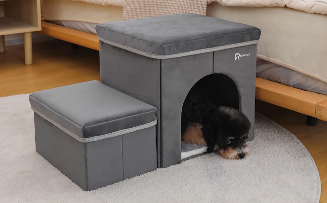 RYPetmia 2 Step Foldable Pet Stairs With Storage RYPetmia 2 Step Foldable Pet Stairs With Storage