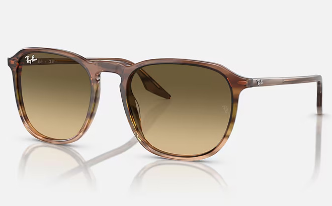 Ray Ban RB2203 Sunglasses