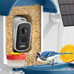Smart Bird Feeder with Camera