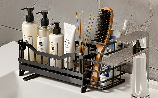 Sponge Holder for Kitchen Sink