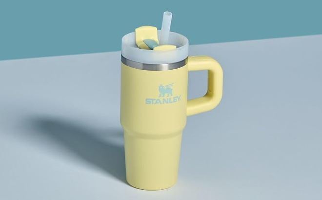 Stanley 20 Ounce Quencher H2 0 Tumbler with Handle and Straw Stanley 20 Ounce Quencher H2 0 Tumbler with Handle and Straw