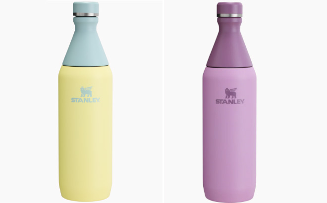 Stanley All Day Slim Bottle
