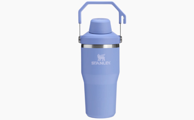 Stanley The IceFlow Tumbler with Fast Flow Lid