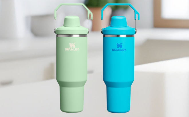Stanley The IceFlow Tumblers on a Table