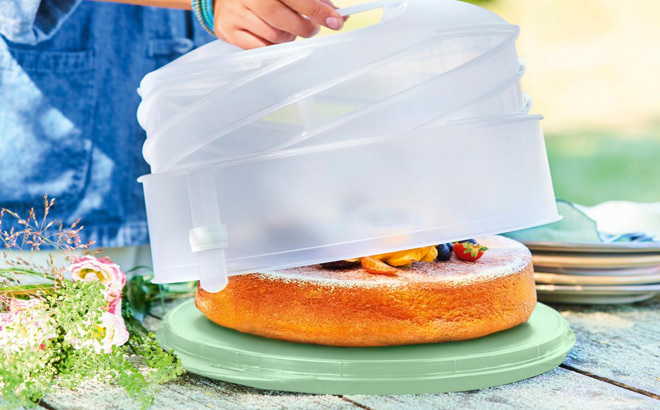 Tupperware Expandable Cake Carrier with Lock on the Table