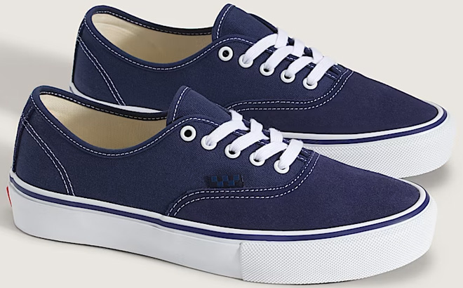 VANS Skate Authentic Shoes
