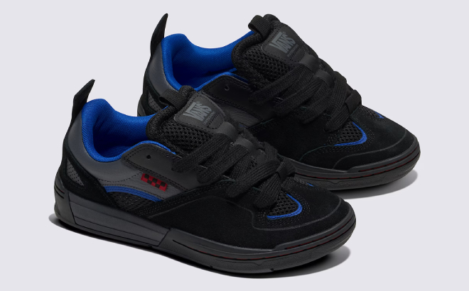 VANS Skate Mixxa Shoes