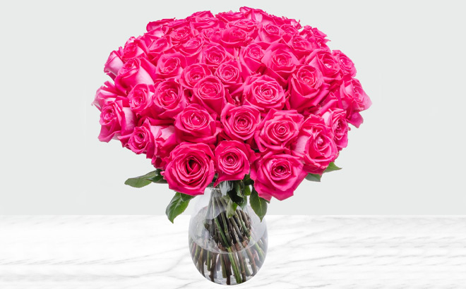 Valentines Day 50 Stem Hot Pink Roses