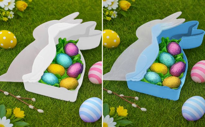 Way To Celebrate Bunny Shaped Plastic Containers on Grass Way To Celebrate Bunny Shaped Plastic Containers on Grass