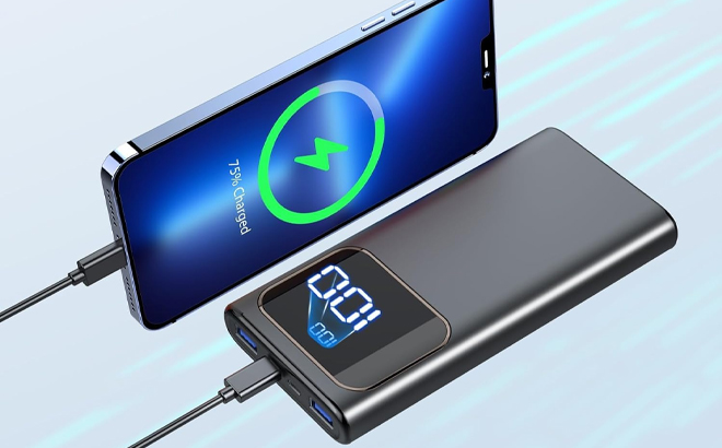 10000mAh Portable Charger
