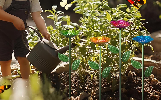 2 Pack Bee Watering Station
