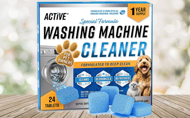 24 Count Washing Machine Cleaner