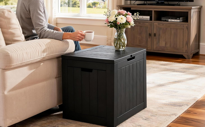 30 Gallon Storage Box