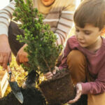 A Child Planting a Tree