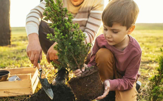 A Child Planting a Tree