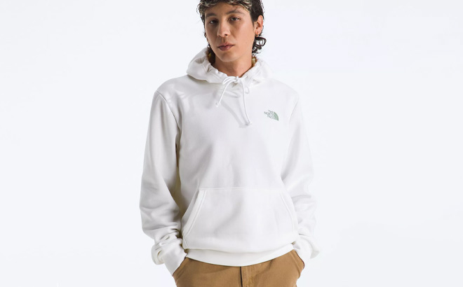 A Person Wearing The North Face Mens Evolution Mountain Woods Graphic Hoodie
