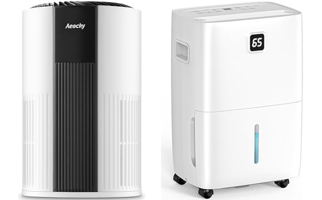 AEOCKY Turbo Jet Design Air Purifier and DEVERSE 80 Pints Energy Star Dehumidifier