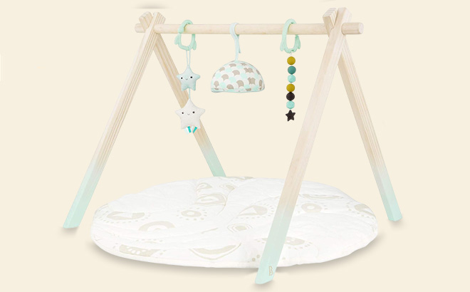 B Toys Wooden Baby Play Gym