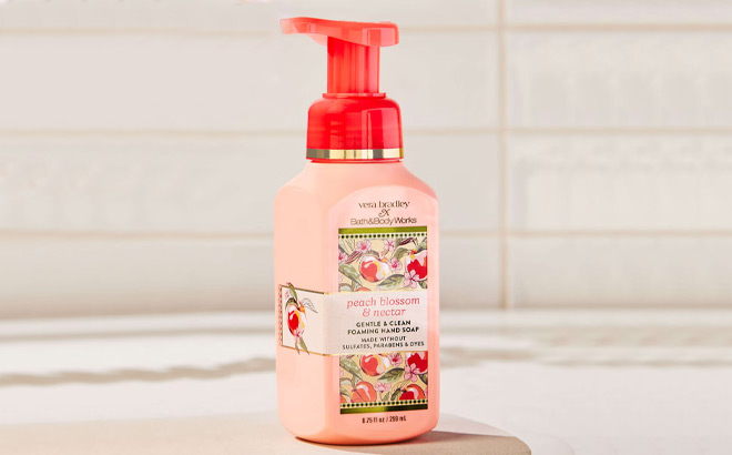 Bath Body Works x Vera Bradley Gentle Clean Hand Soap