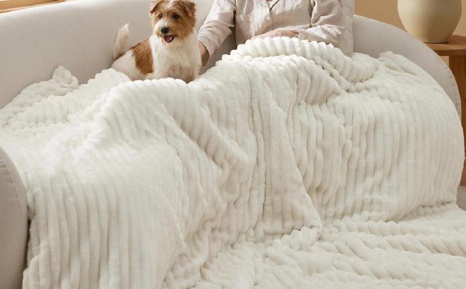 Bedsure Queen 3 Piece Comforter Set