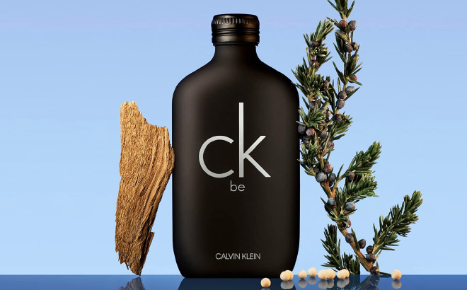Calvin Klein Be Toilette Spray