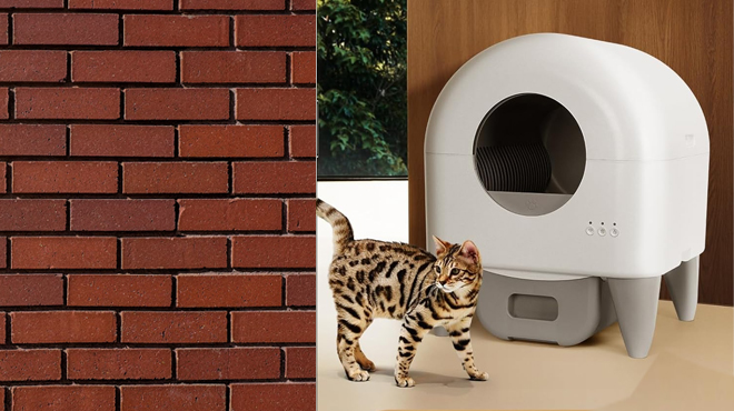 Cat Litter Box