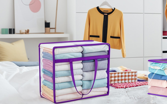 Clear Zippered Storage Bag