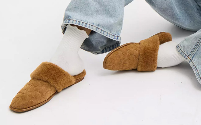Coach Womens Sherpa Flat Mule In Signature Suede Coach Womens Sherpa Flat Mule In Signature Suede