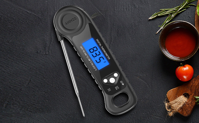 Digital Meat Thermometer
