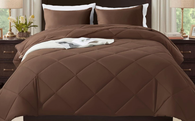 Down Alternative Comforter Set
