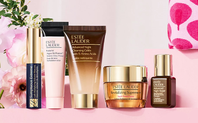 Estee Lauder Free Gift Set