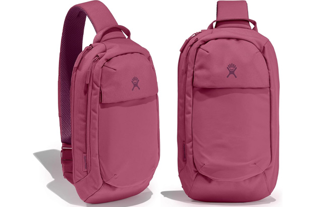 Hydro Flask Slingback Bottle Pack