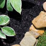Hyponex by Scotts Black Mulch