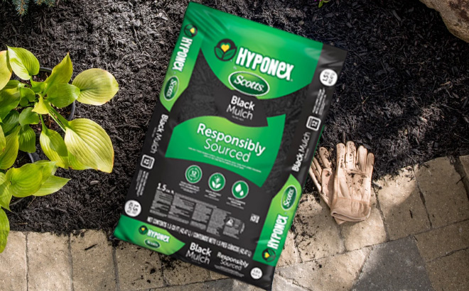 Hyponex by Scotts Mulch